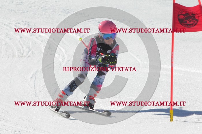 MAT_2545.JPG