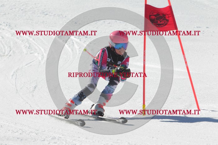 MAT_2546.JPG
