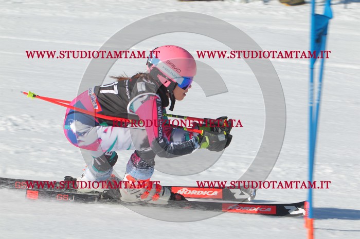 MAT_2548.JPG