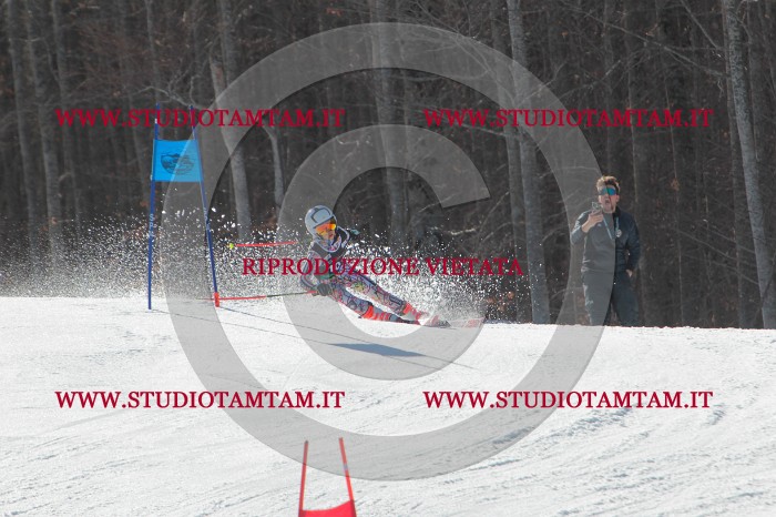 MAT_2549.JPG
