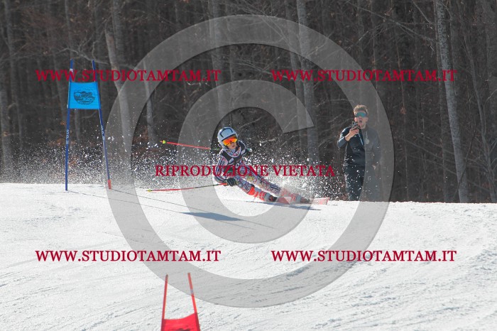 MAT_2550.JPG