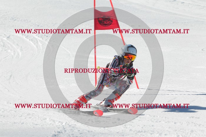 MAT_2556.JPG