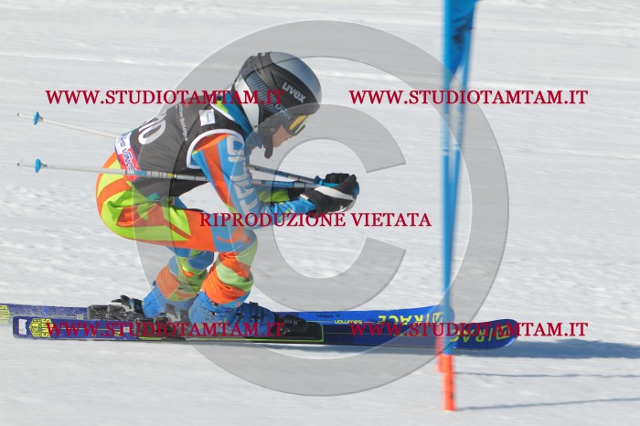 MAT_2579.JPG