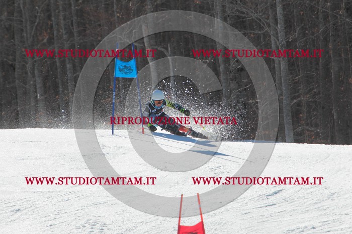 MAT_2580.JPG