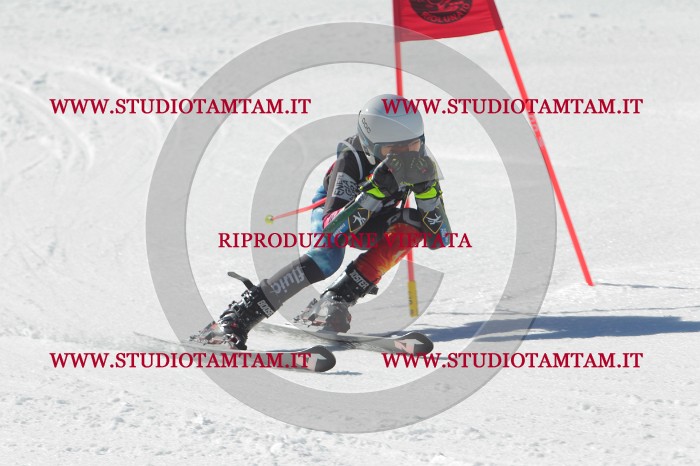 MAT_2586.JPG