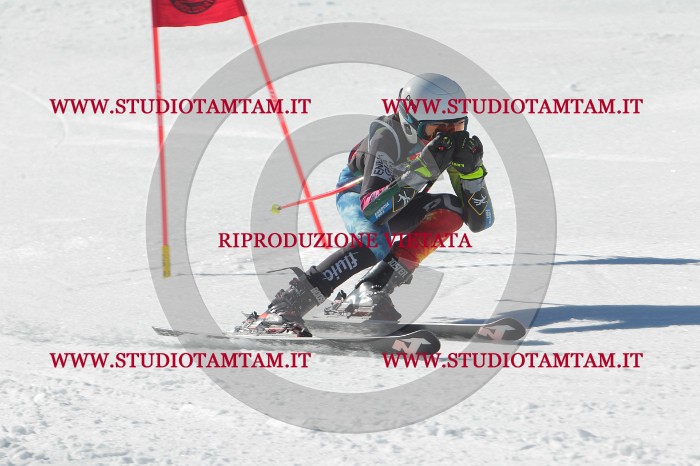 MAT_2587.JPG