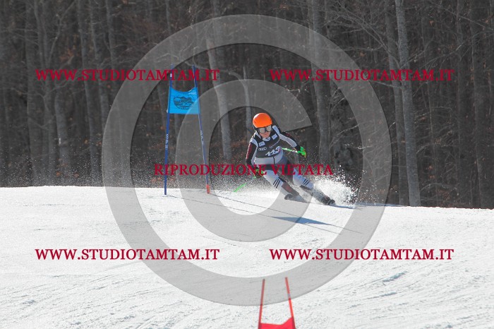 MAT_2600.JPG