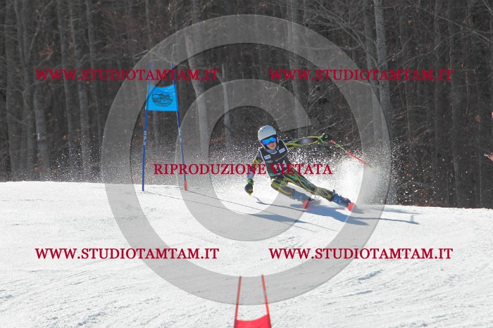 MAT_2610.JPG