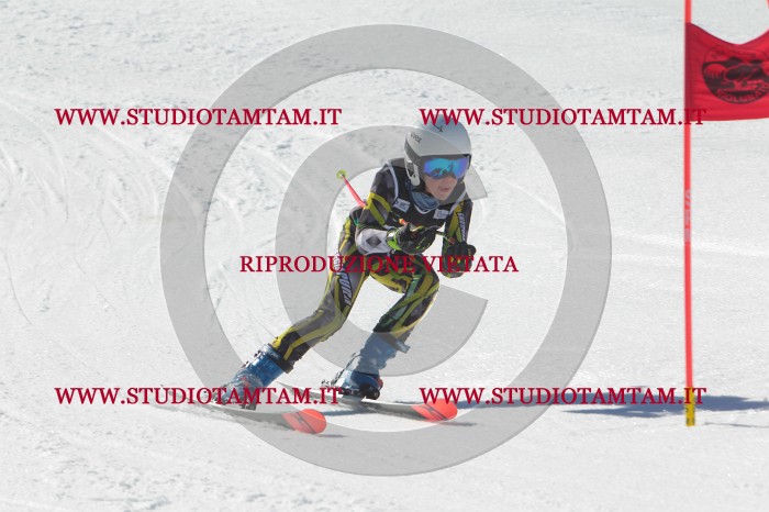 MAT_2615.JPG