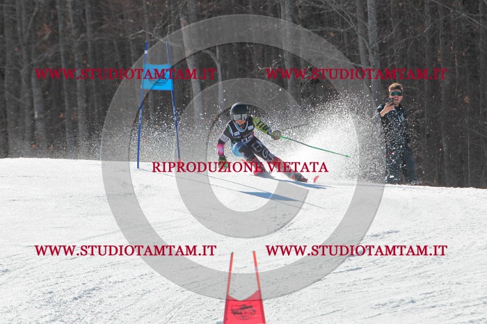 MAT_2619.JPG