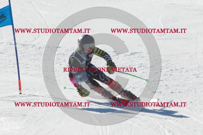 MAT_2624.JPG