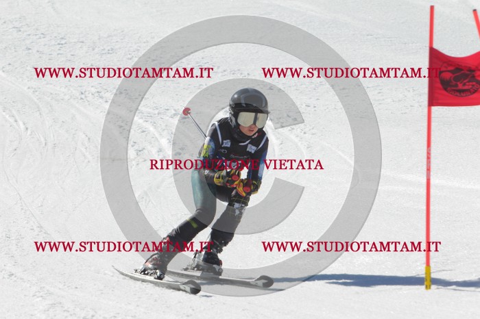 MAT_2635.JPG