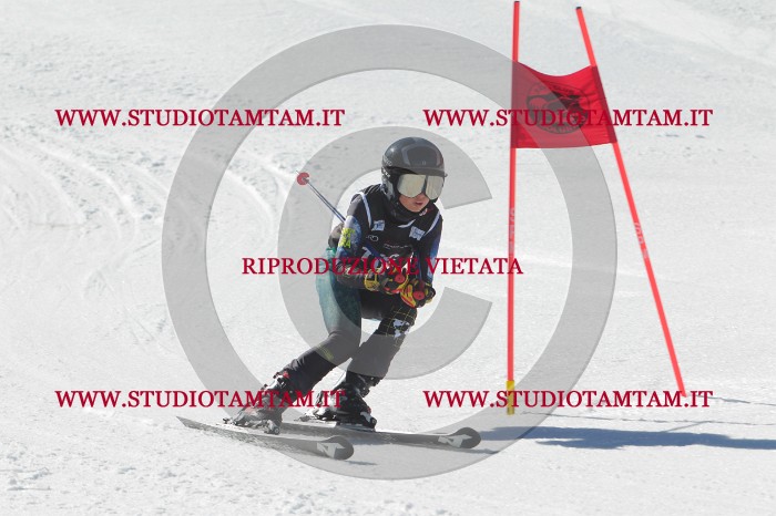 MAT_2636.JPG