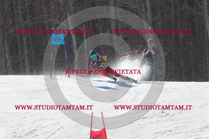MAT_2639.JPG