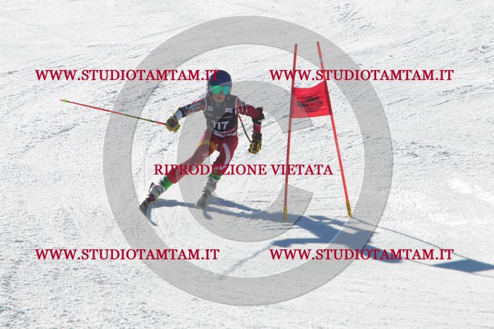 MAT_2641.JPG
