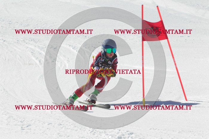MAT_2645.JPG