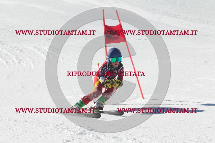 MAT_2646.JPG