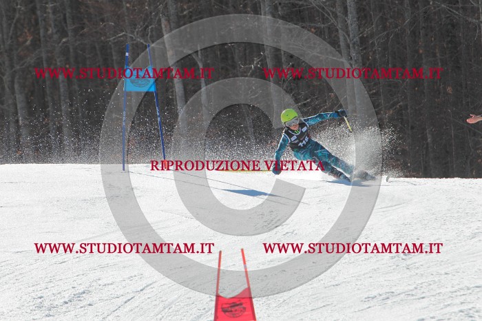 MAT_2650.JPG
