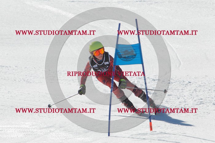 MAT_2672.JPG