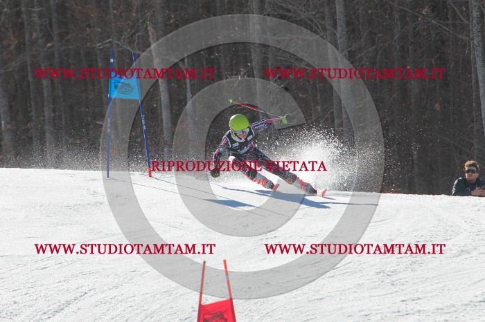 MAT_2679.JPG