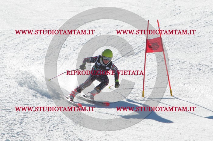 MAT_2681.JPG