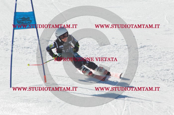 MAT_2713.JPG