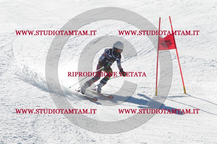 MAT_2731.JPG