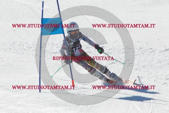 MAT_2733.JPG