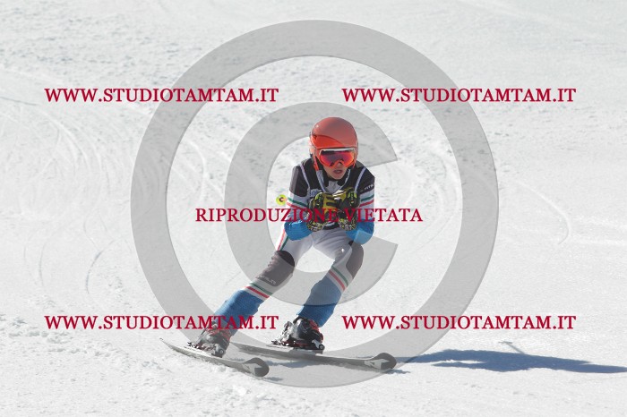 MAT_2754.JPG