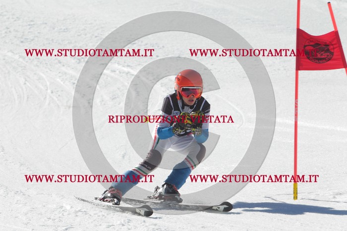 MAT_2755.JPG