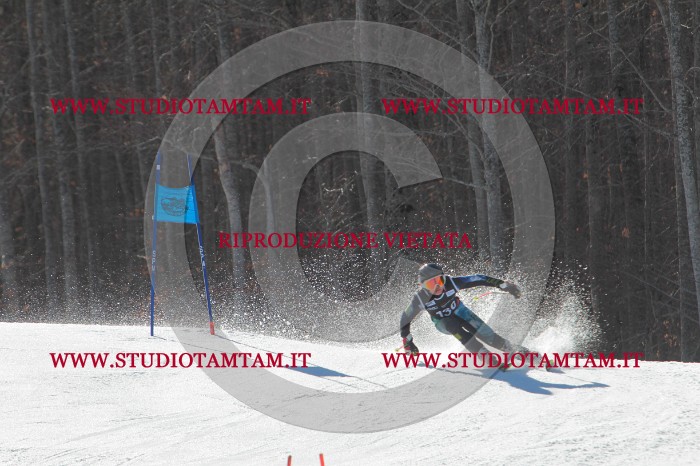 MAT_2759.JPG