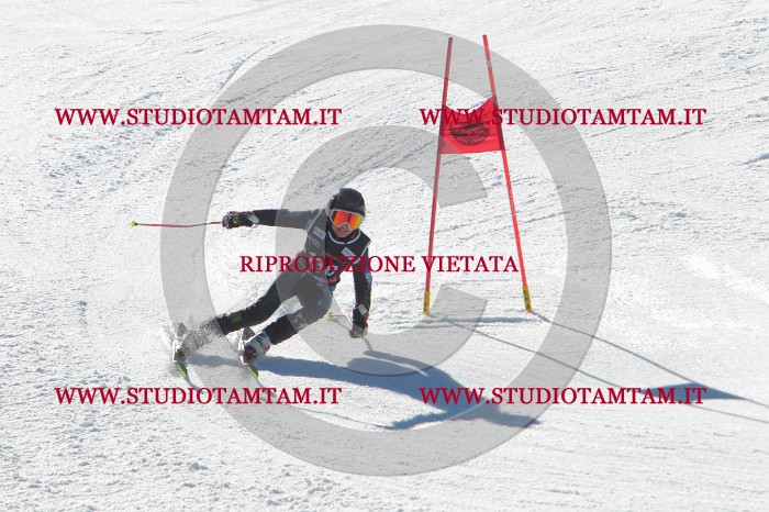 MAT_2761.JPG