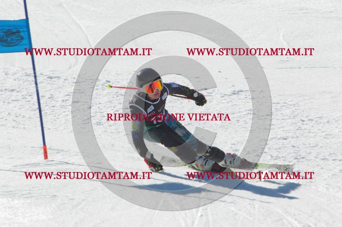 MAT_2763.JPG