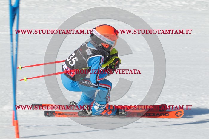MAT_2811.JPG