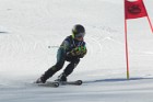 MAT_2325