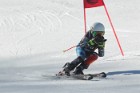 MAT_2369