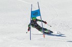 MAT_2386