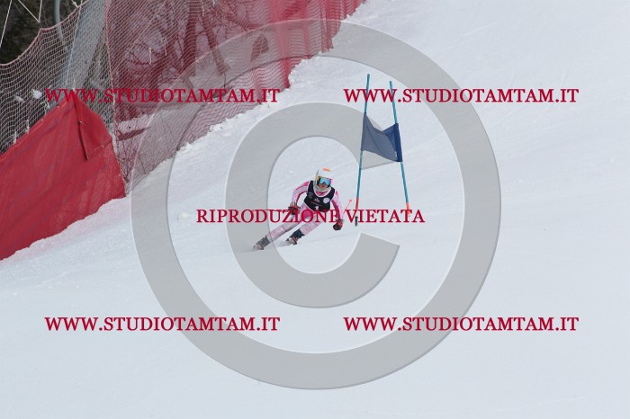 MAT_8708.JPG