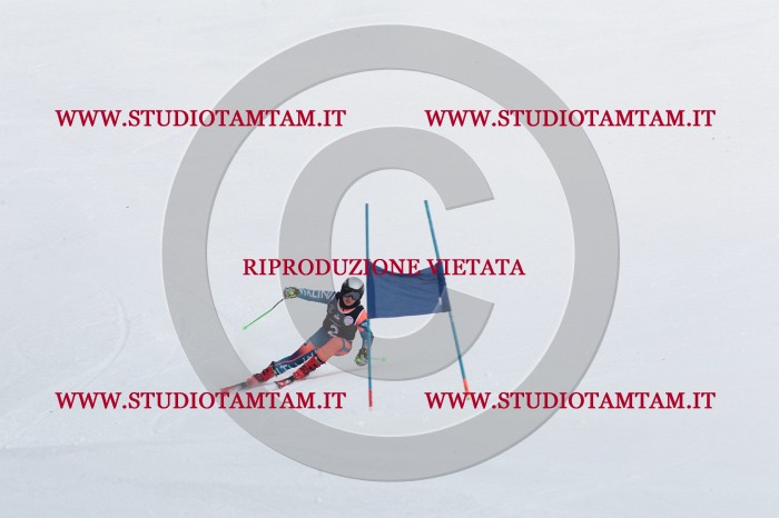 MAT_8717.JPG