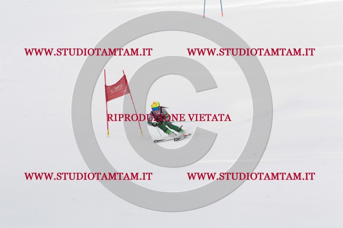 MAT_8774.JPG