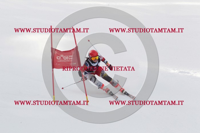 MAT_8788.JPG