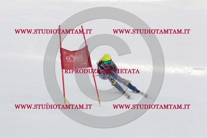 MAT_8798.JPG