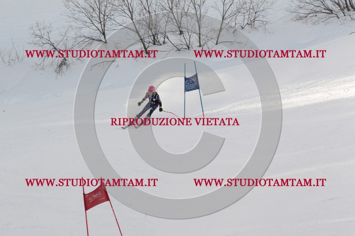 MAT_8868.JPG