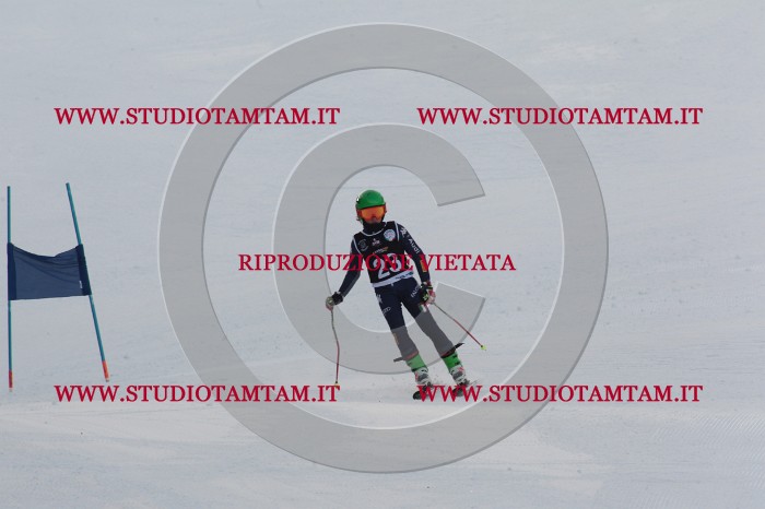 MAT_8938.JPG