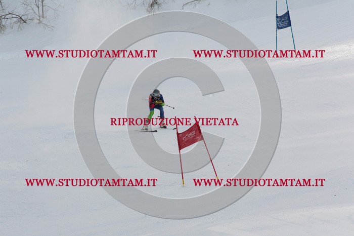 MAT_8972.JPG