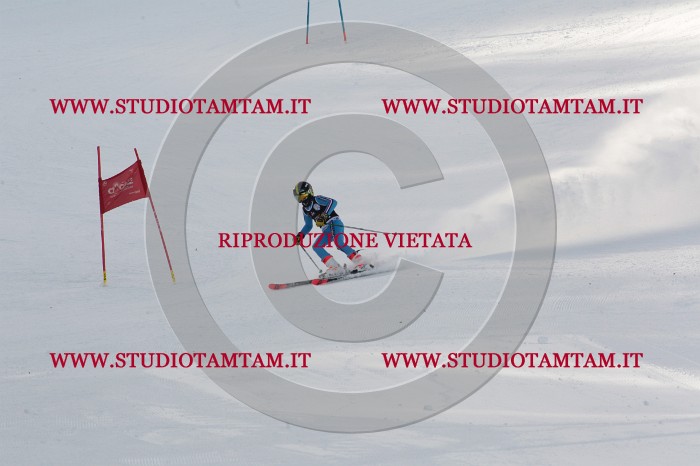 MAT_9059.JPG