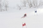 MAT_8784