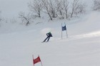 MAT_8951