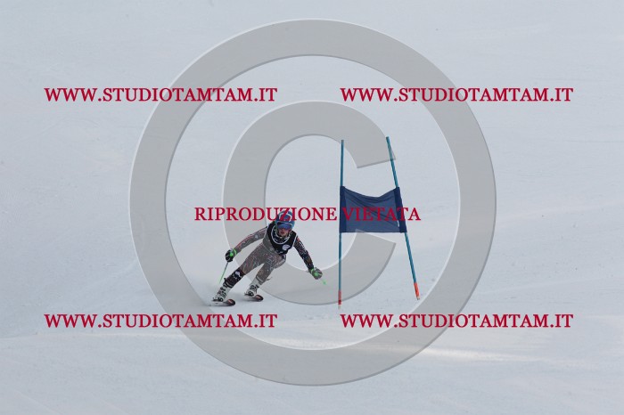 MAT_9163.JPG