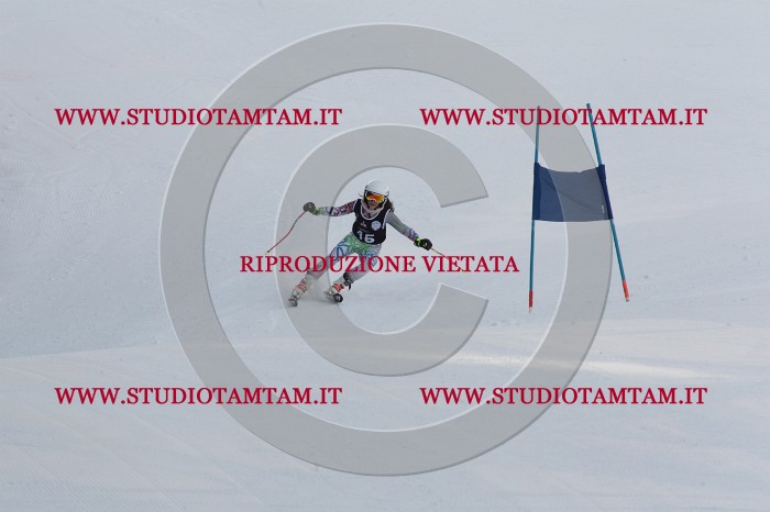 MAT_9187.JPG